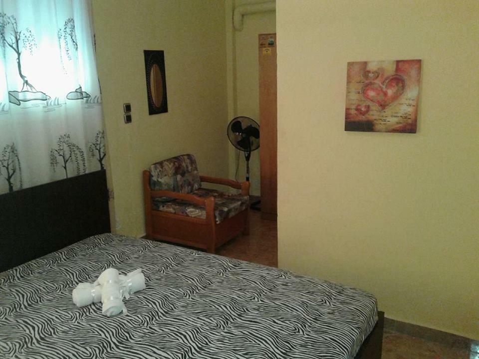 Gatos Apartment Skála Marión 外观 照片